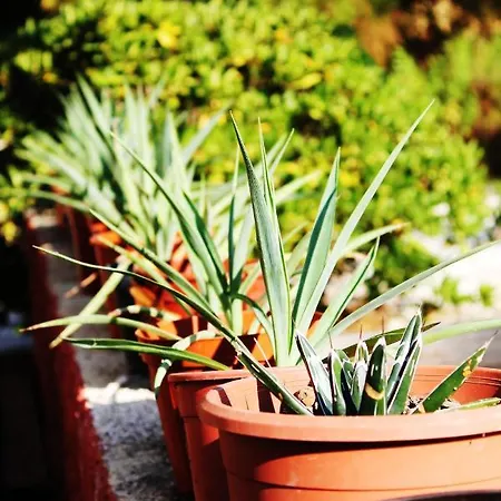 De La Palmeraie - Dans Propriété Privée Au Calme Avec Piscine Et Tennis